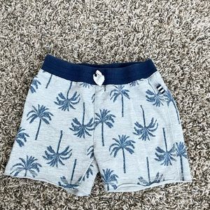 Boy shorts 12-18 months